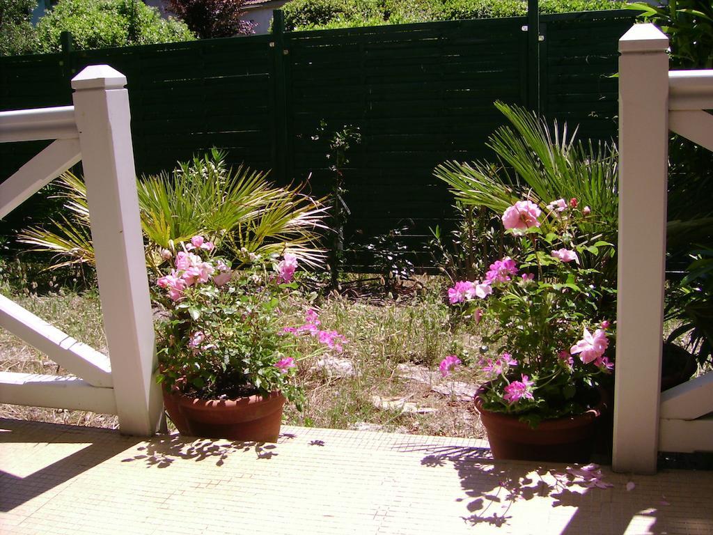 Villa Surprise Arcachon Bilik gambar